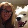 samoyedogs